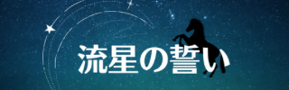 流星の誓い６/真・三國無双