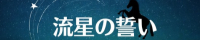 流星の誓い9/三國無双シリーズ 真・三國無双